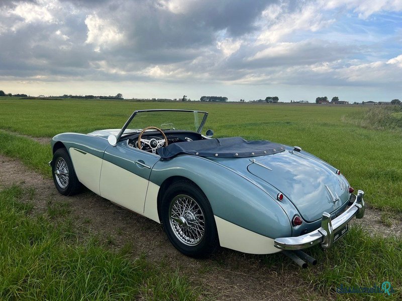 1959' Austin-Healey 100-6 photo #3