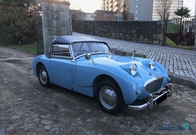 1959' Austin-Healey Sprite photo #3