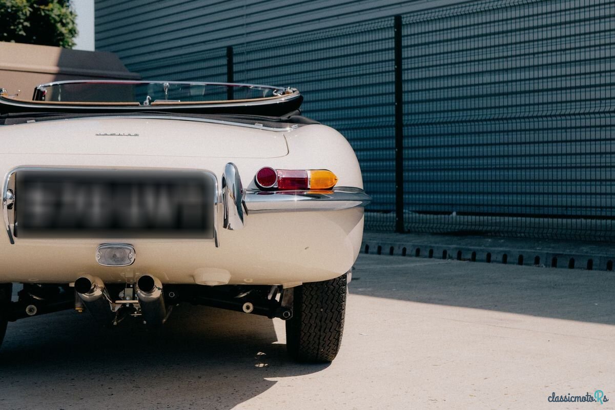 1961' Jaguar E-Type photo #5