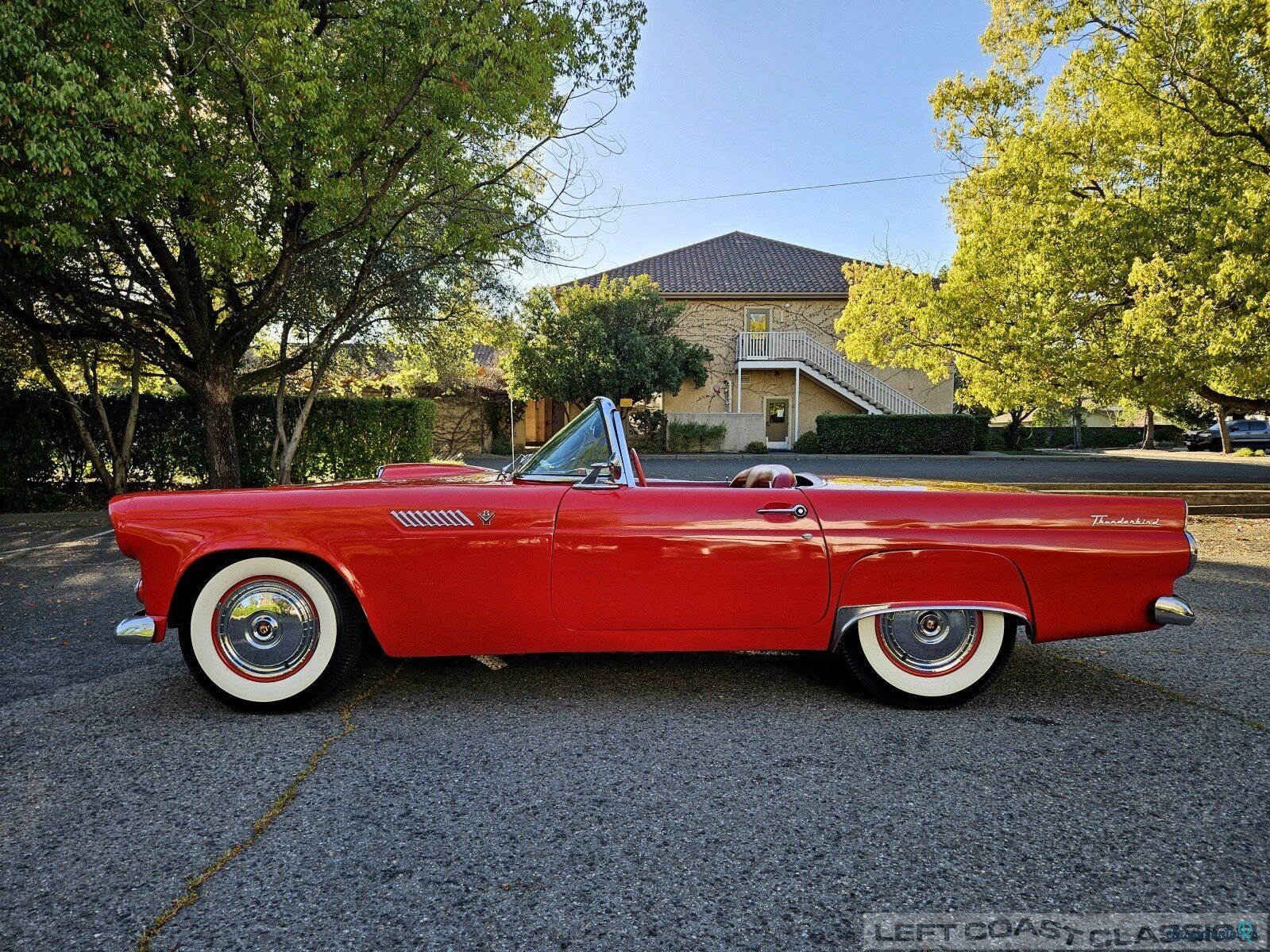 1955' Ford Thunderbird photo #3