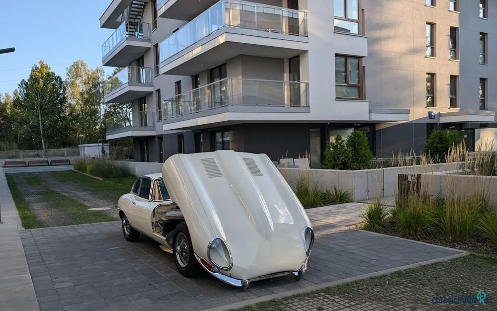 1962' Jaguar E-Type photo #5