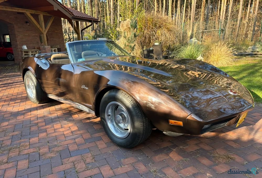 1974' Chevrolet Corvette photo #1