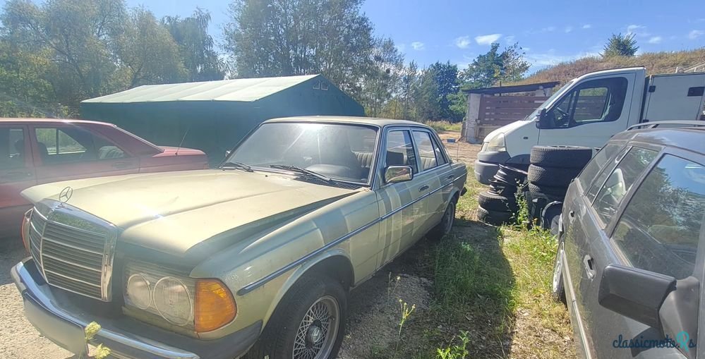 1979' Mercedes-Benz W123 photo #4