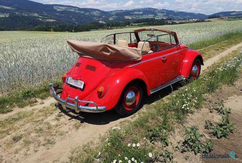 1965' Volkswagen Käfer photo #3