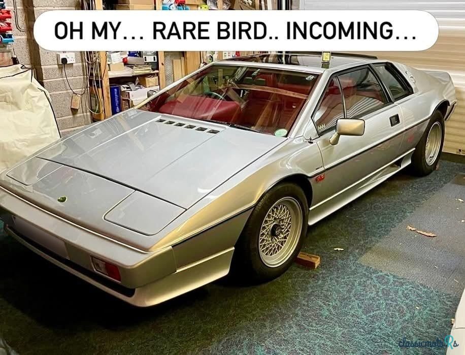 1986' Lotus Esprit photo #1