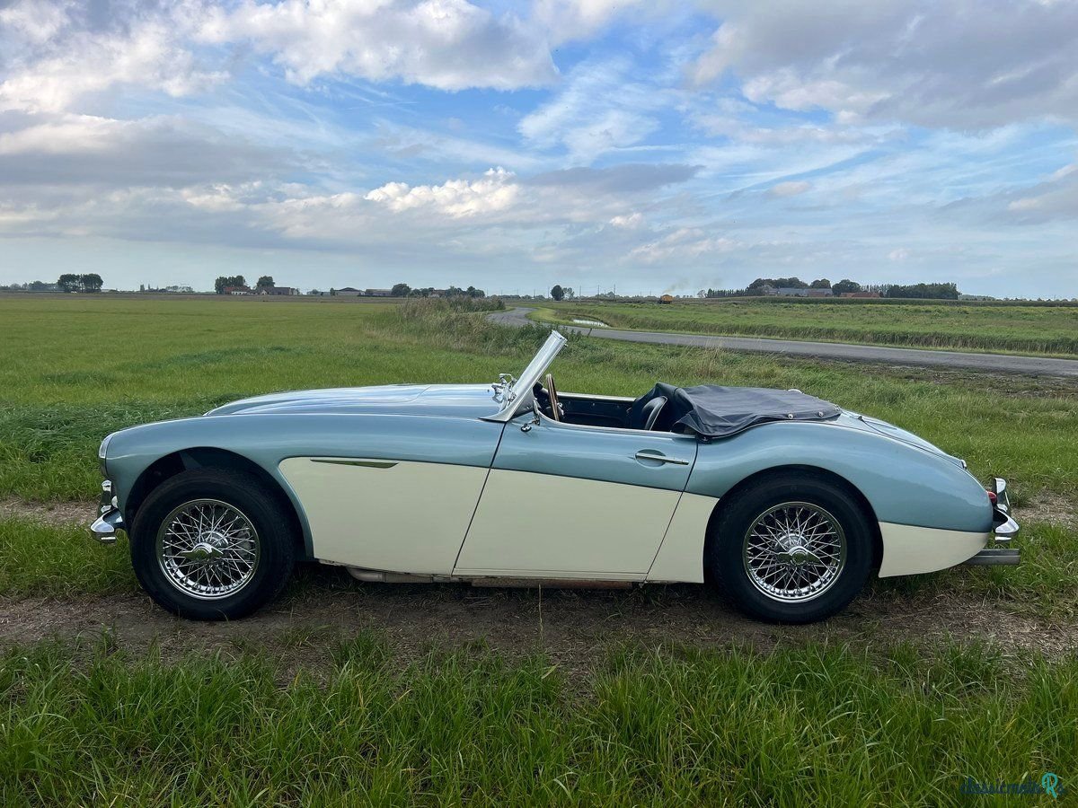 1959' Austin-Healey 100-6 photo #2