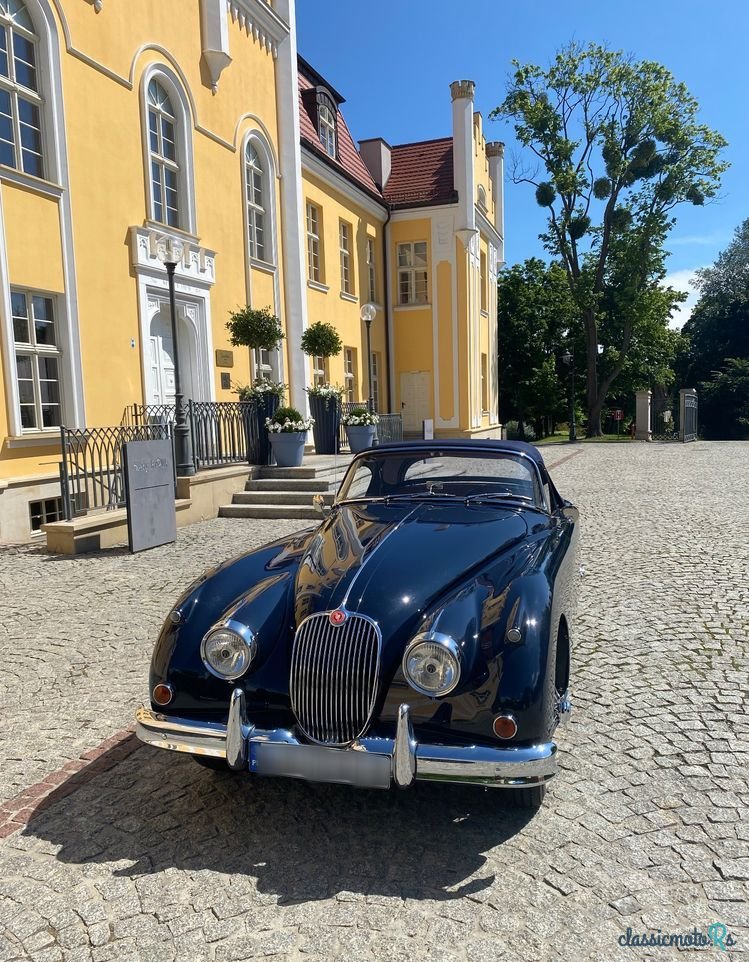 1958' Jaguar XK photo #2