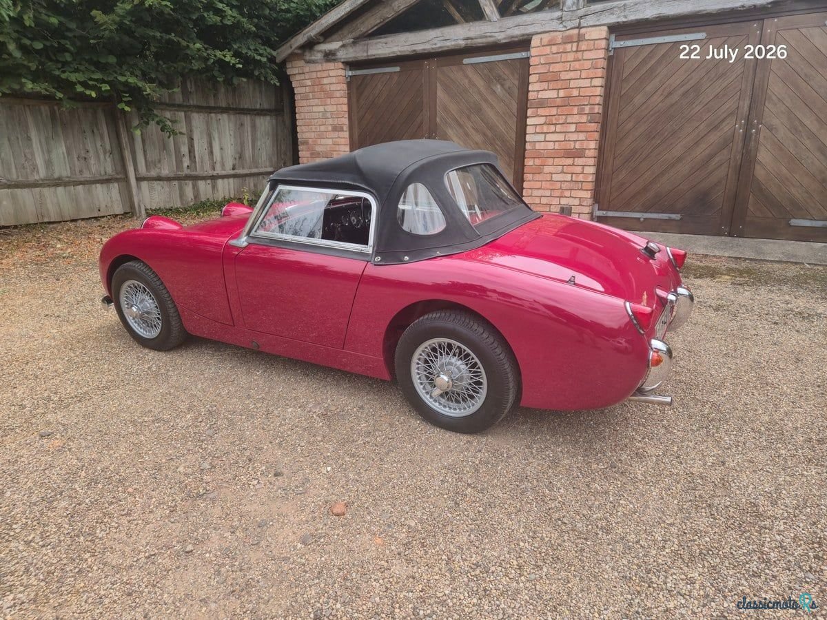 1960' Austin-Healey Sprite photo #4