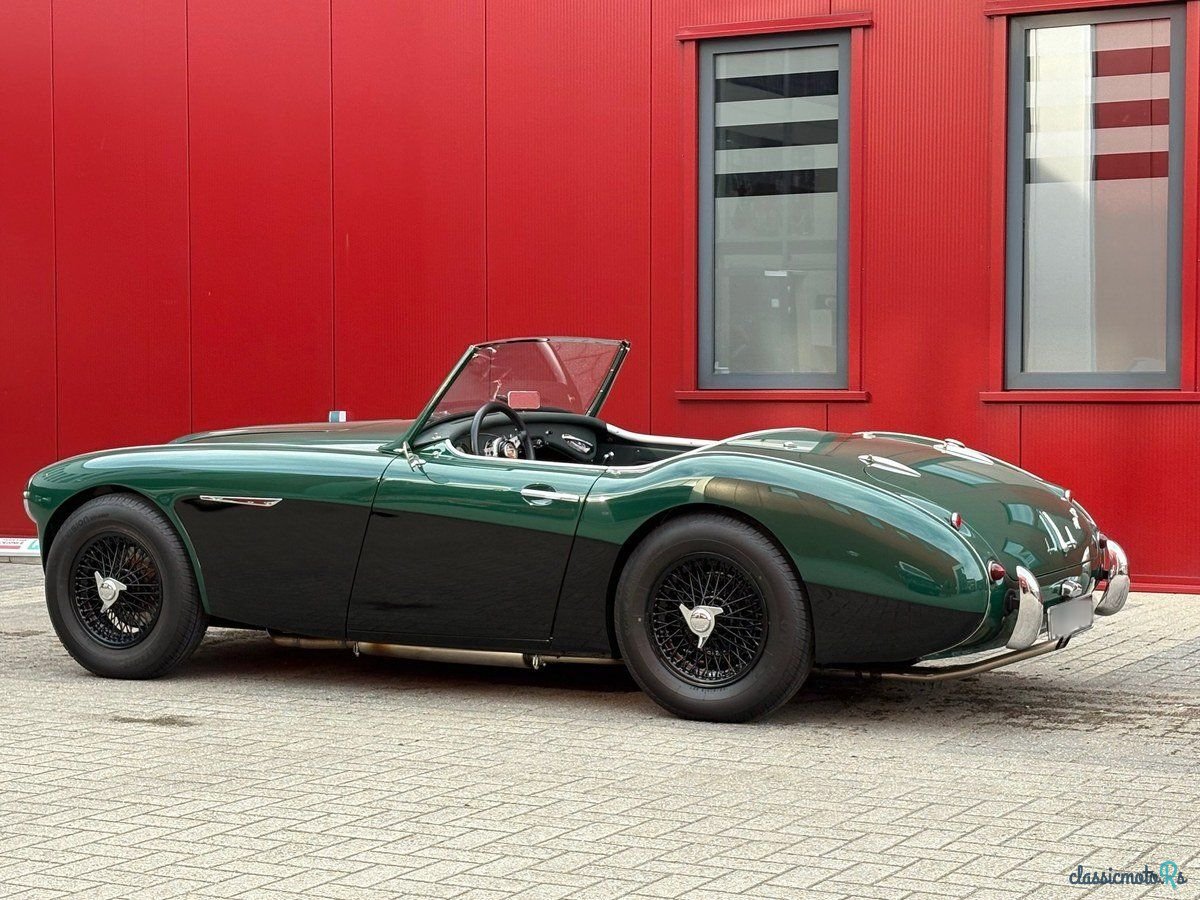 1958' Austin-Healey 100-6 photo #5