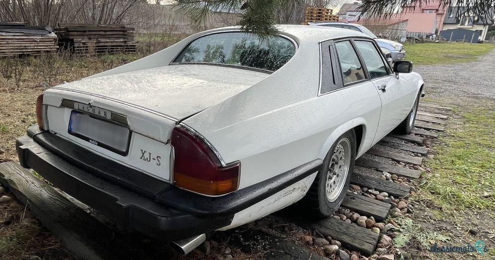 1979' Jaguar XJS photo #4