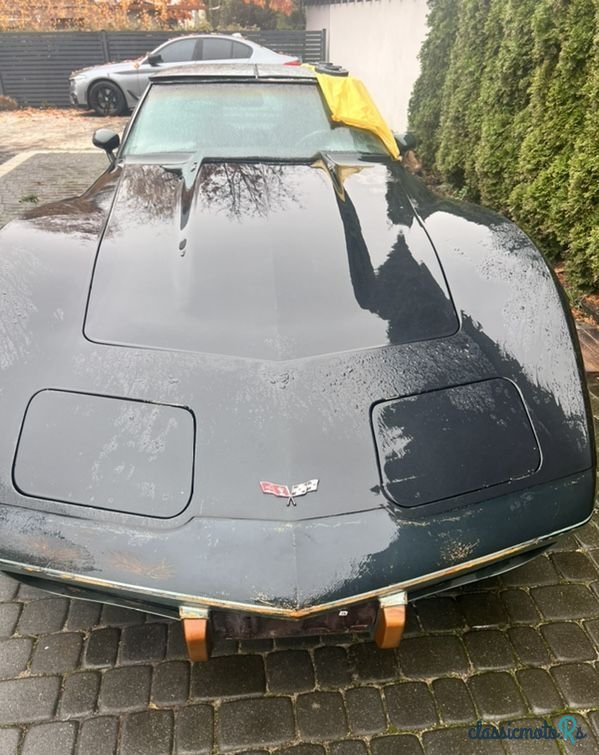1979' Chevrolet Corvette photo #4
