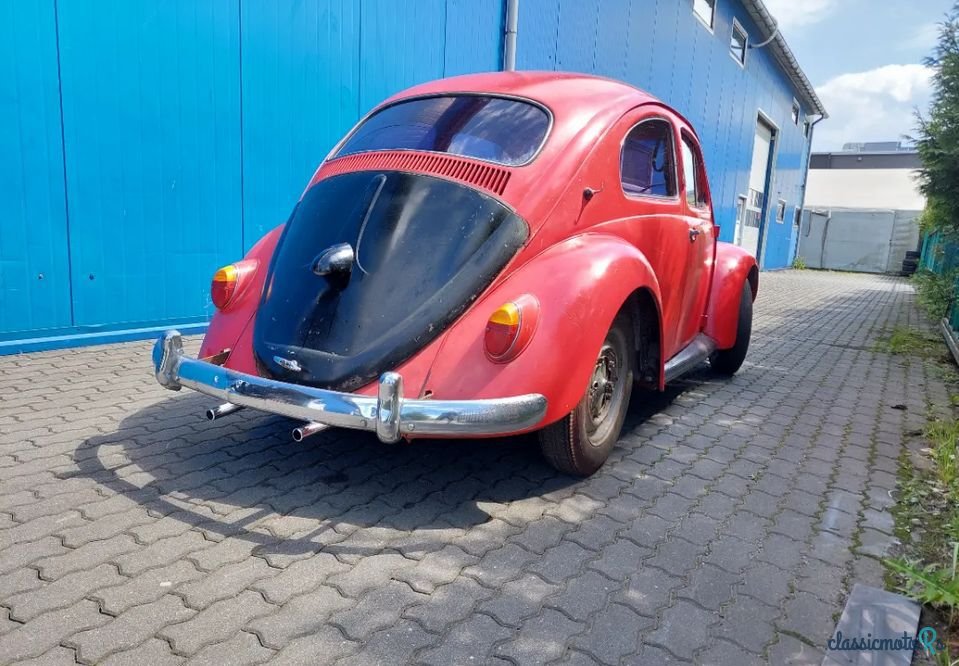 1959' Volkswagen Garbus photo #4