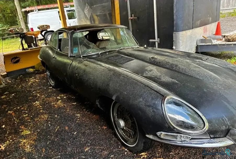 1965' Jaguar E-Type photo #3