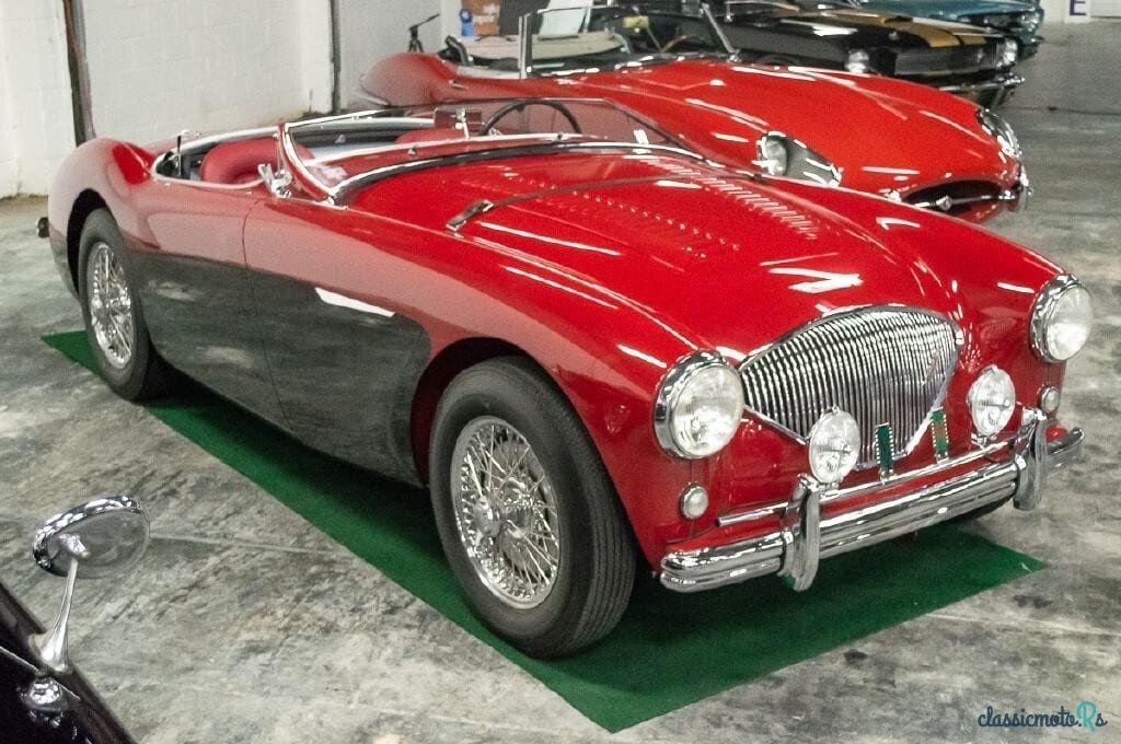 1956' Austin-Healey 100M photo #1