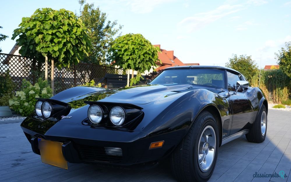 1977' Chevrolet Corvette photo #1