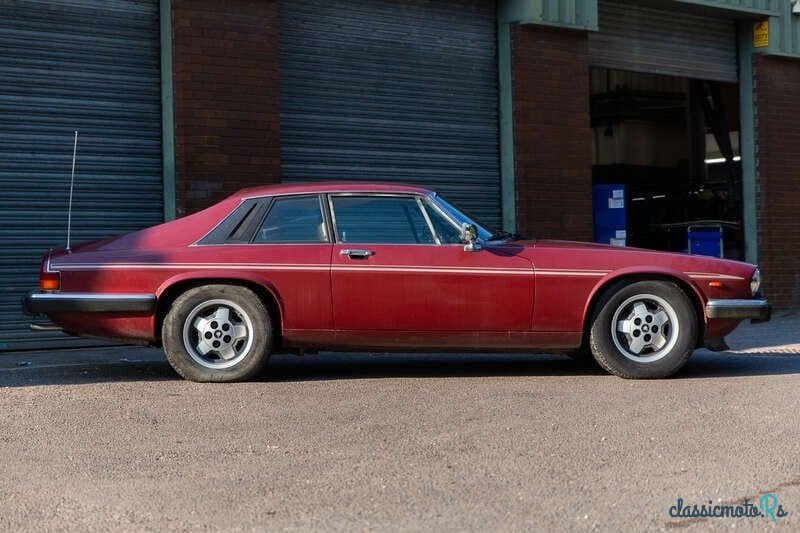 1983' Jaguar XJS photo #5