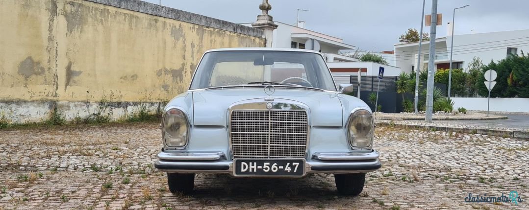 1970' Mercedes-Benz 280 photo #5