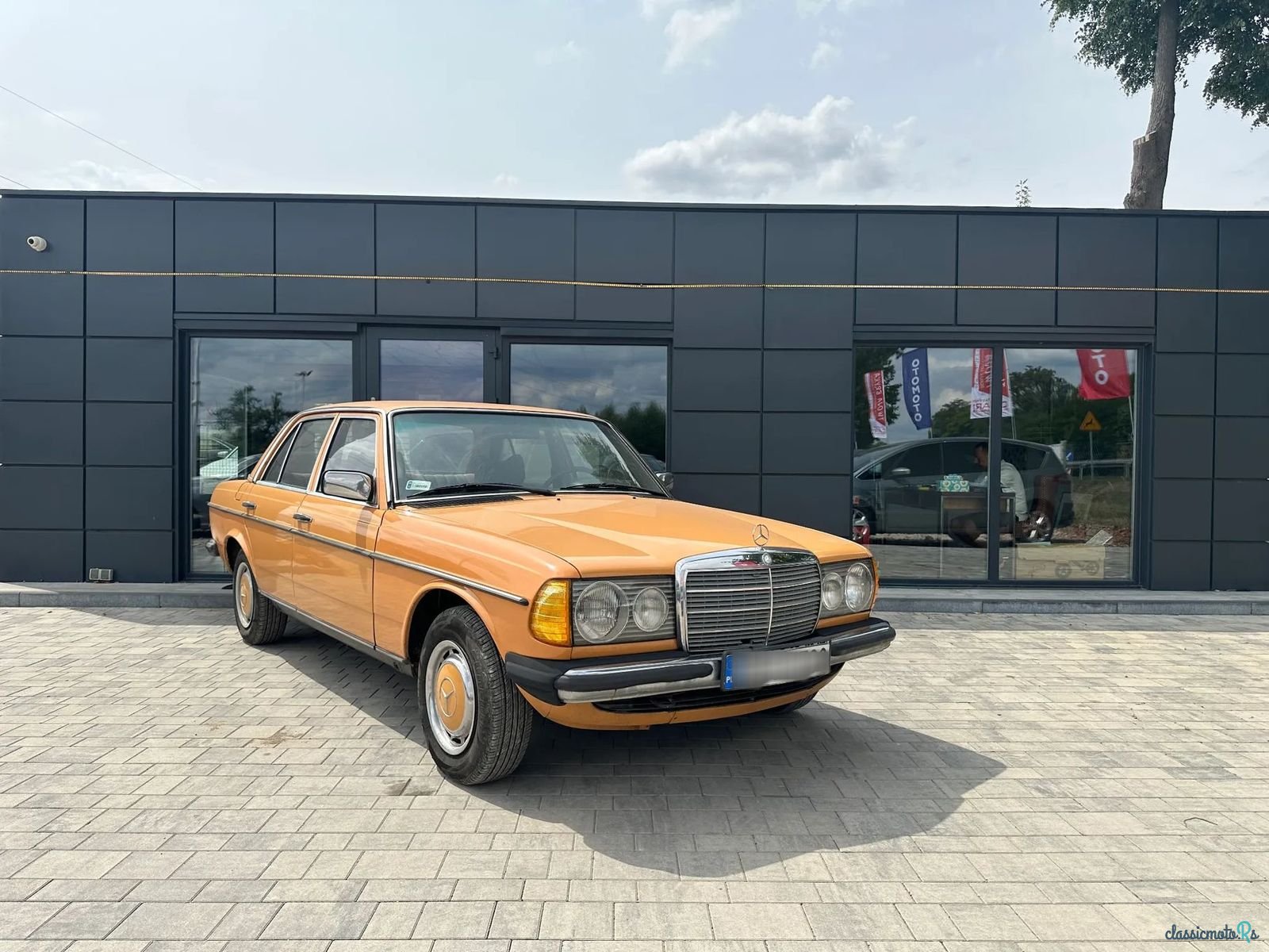1974' Mercedes-Benz W123 photo #1
