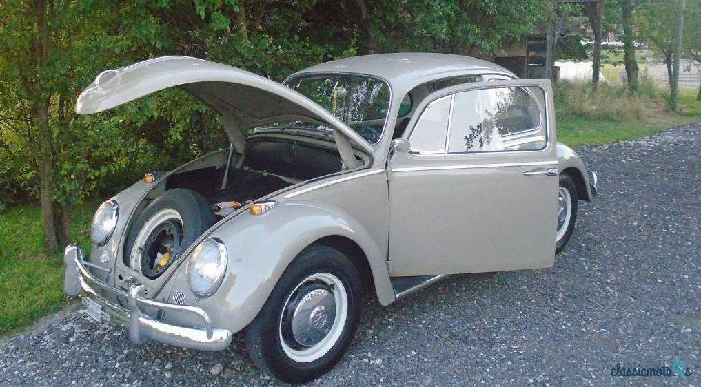 1966' Volkswagen Käfer photo #2