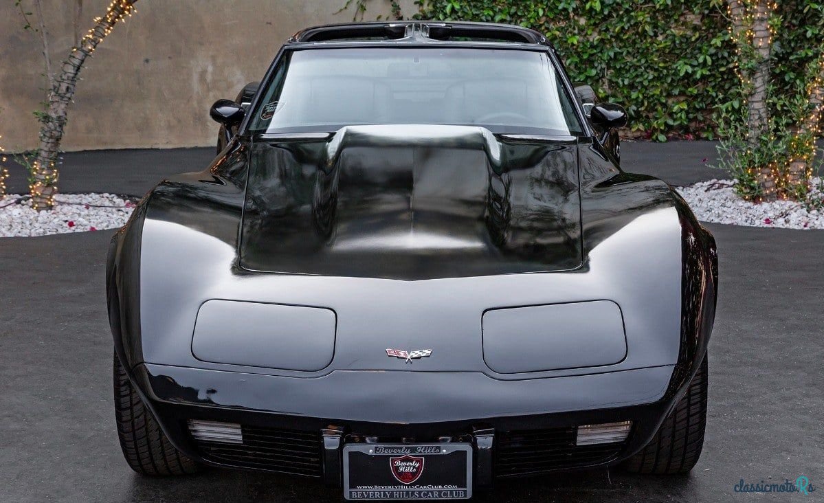 1979' Chevrolet Corvette photo #3