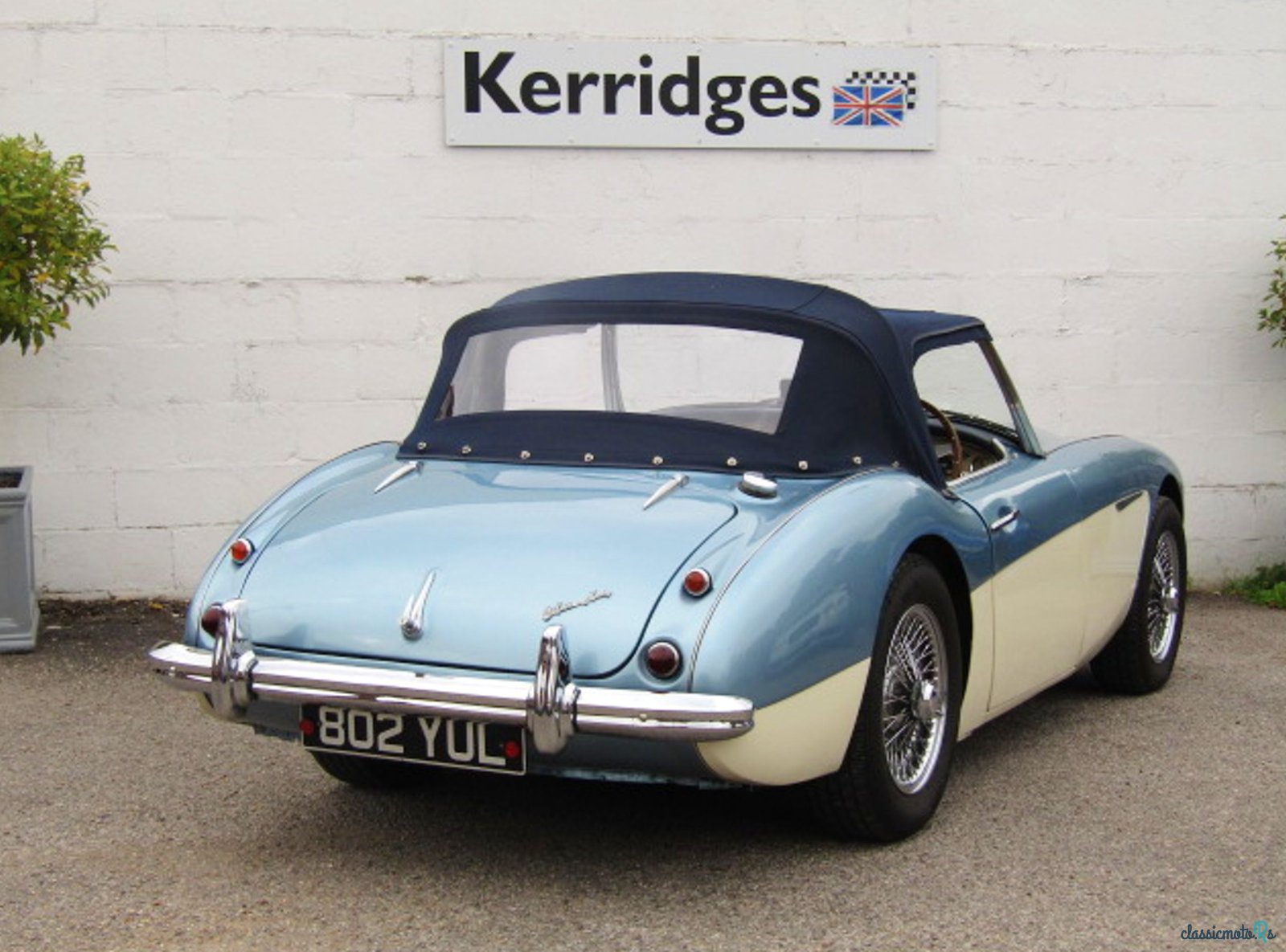 1957' Austin-Healey 100-6 photo #2