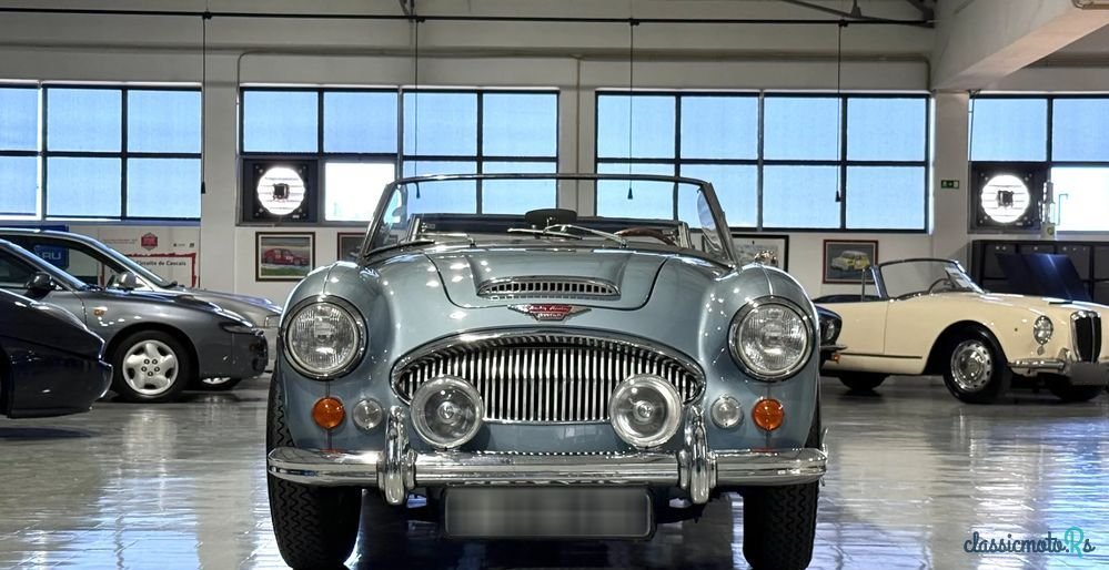 1965' Austin-Healey 3000 photo #2
