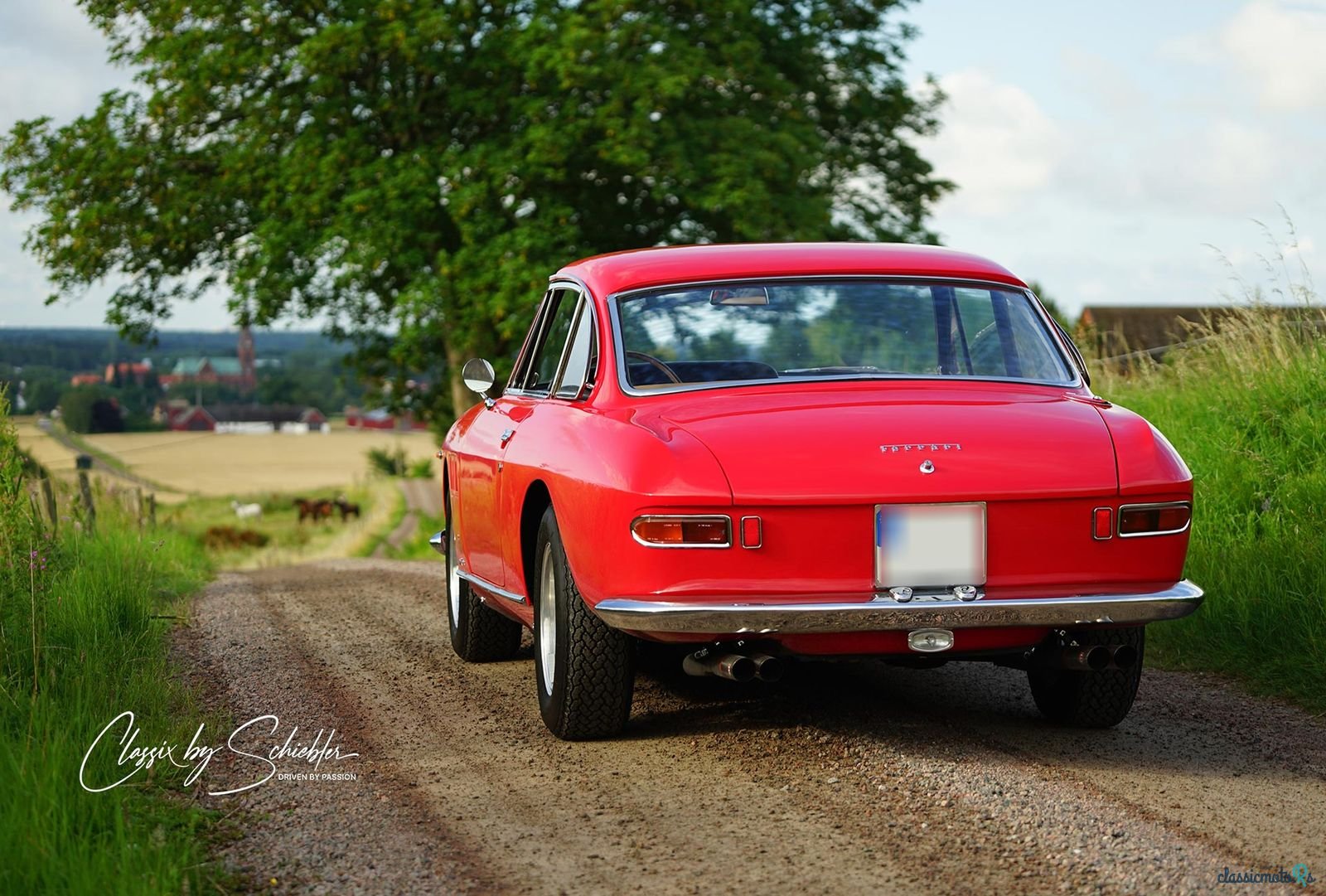 1964' Ferrari 330 Gt 2+2 photo #4