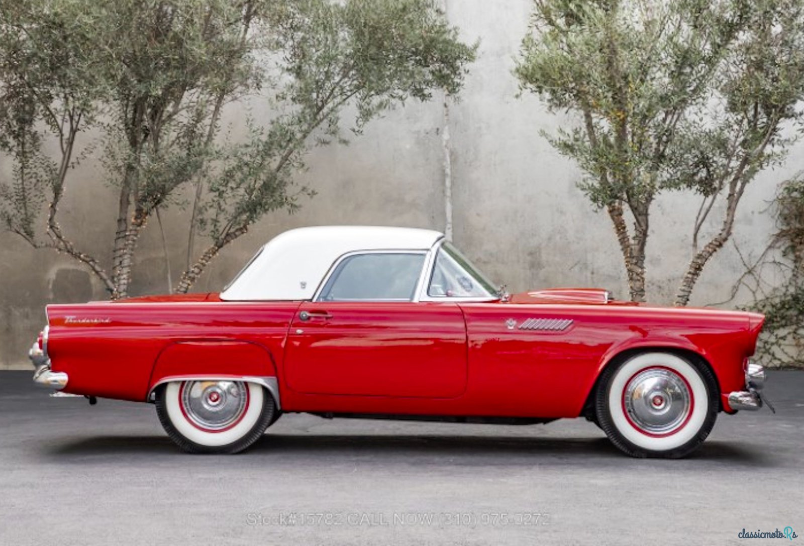 1955' Ford Thunderbird photo #6