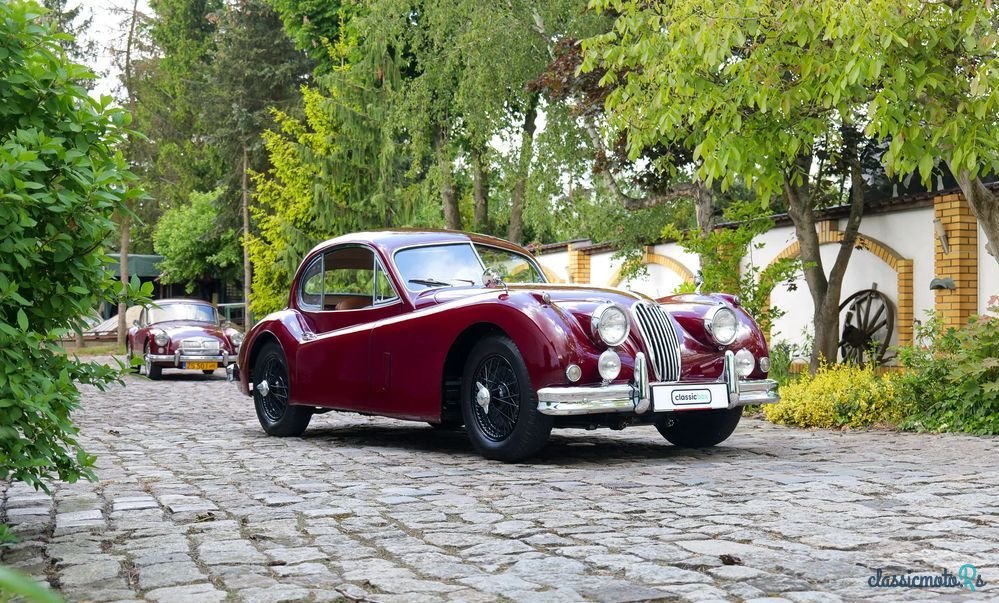 1955' Jaguar XK photo #4