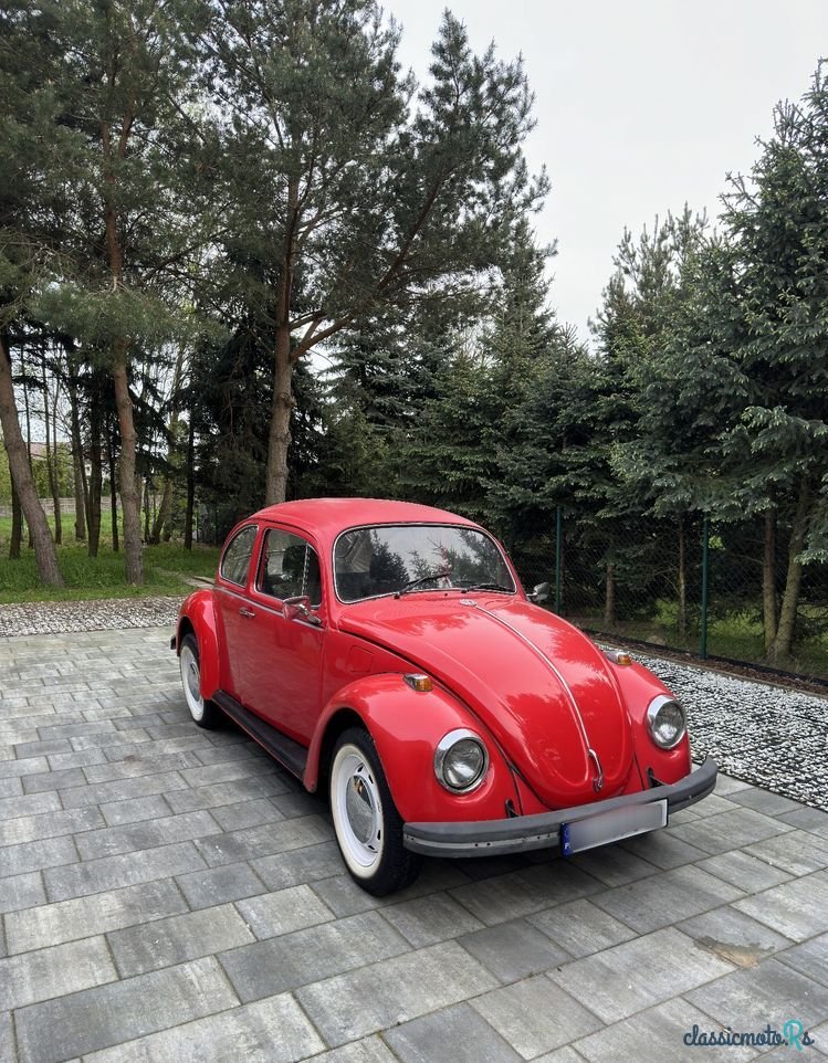 1969' Volkswagen Garbus photo #2