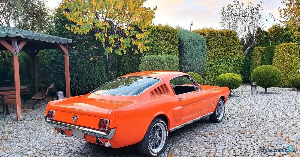 1966' Ford Mustang photo #6