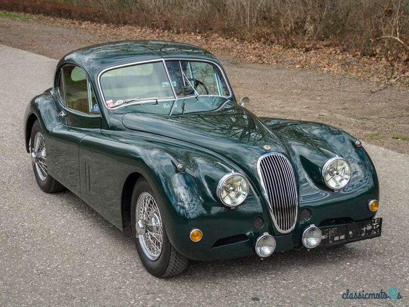 1954' Jaguar XK photo #4