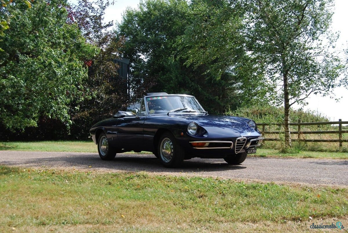 1969' Alfa Romeo Spider (Duetto) photo #4