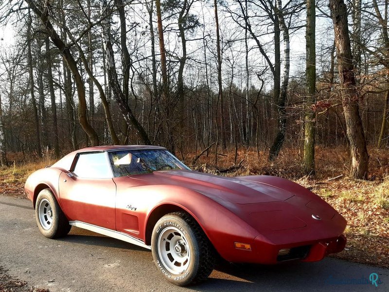 1976' Chevrolet Corvette photo #1