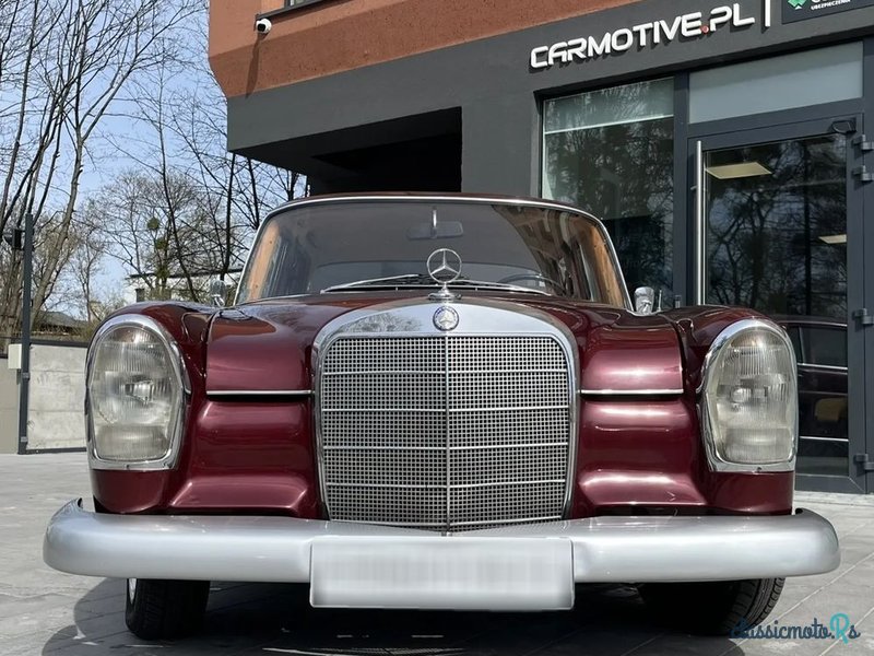 1965' Mercedes-Benz photo #3