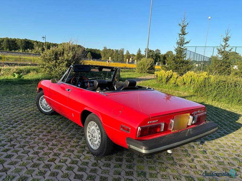 1974' Alfa Romeo Spider 2.0 photo #4