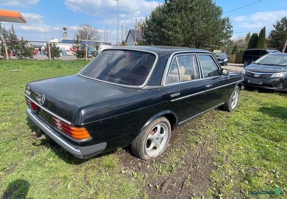 1976' Mercedes-Benz W123 photo #3