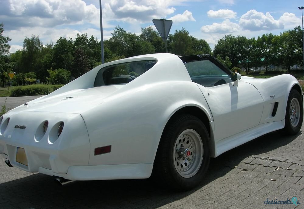 1977' Chevrolet Corvette photo #1