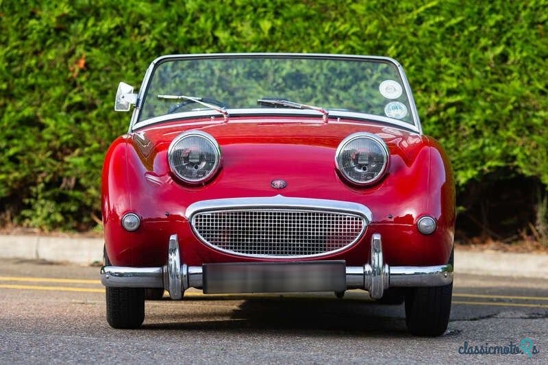 1959' Austin-Healey Sprite photo #6