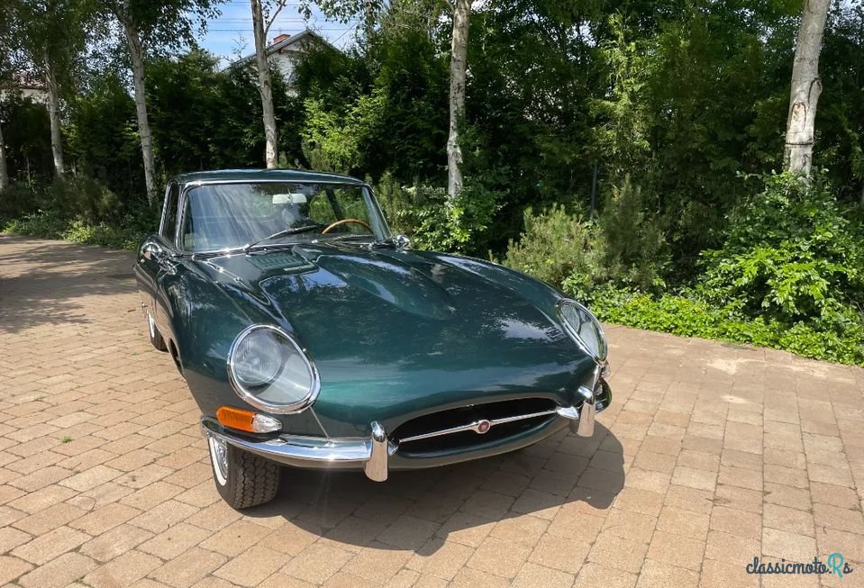 1966' Jaguar E-Type photo #3