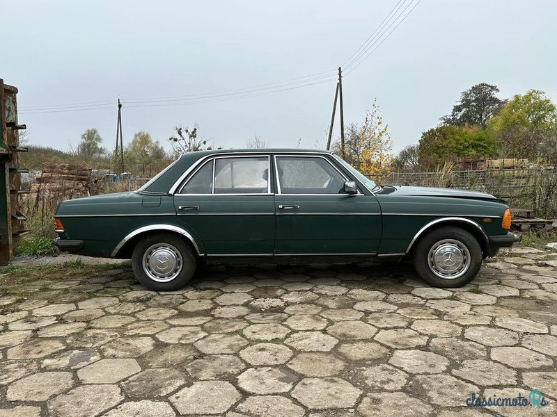 1979' Mercedes-Benz W123 photo #1