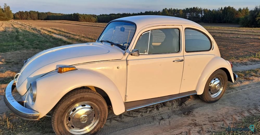 1972' Volkswagen Garbus photo #2