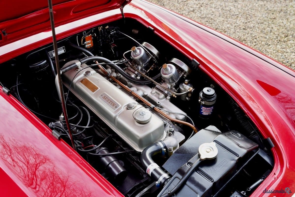 1961' Austin-Healey 3000 photo #4
