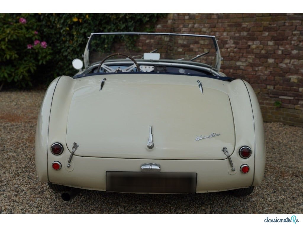 1953' Austin-Healey 100/4 photo #6