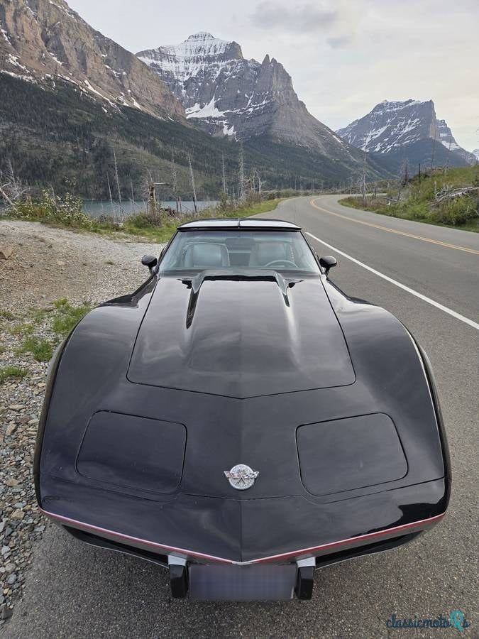 1978' Chevrolet Corvette photo #3
