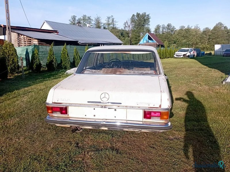 1970' Mercedes-Benz 115 photo #4