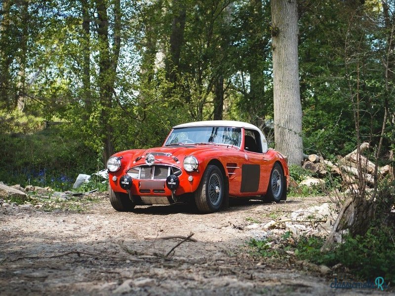 1960' Austin-Healey 3000 photo #1