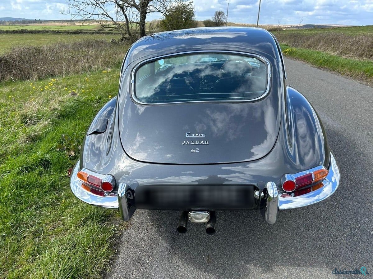 1967' Jaguar E-Type photo #6