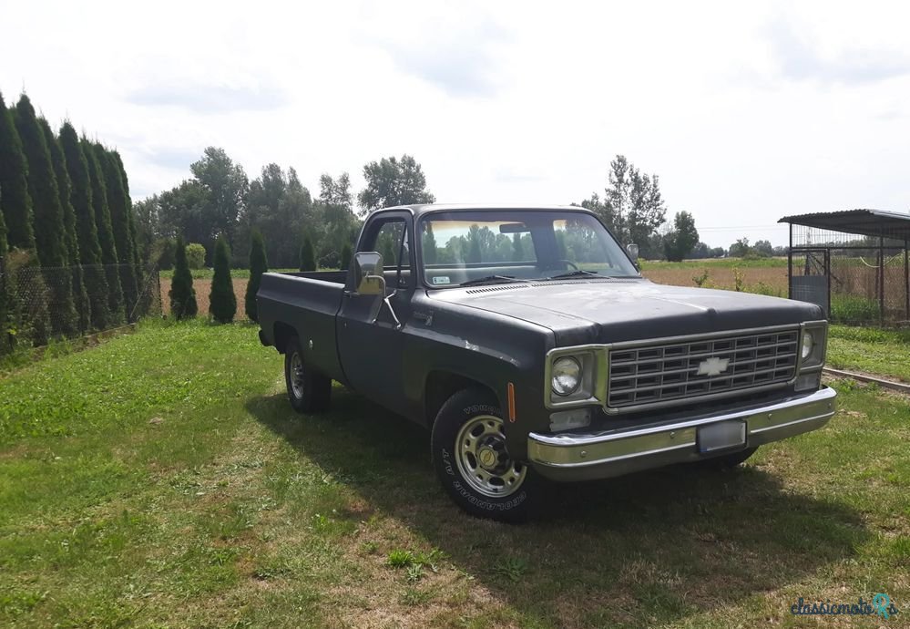 1975' Chevrolet C-20 photo #1