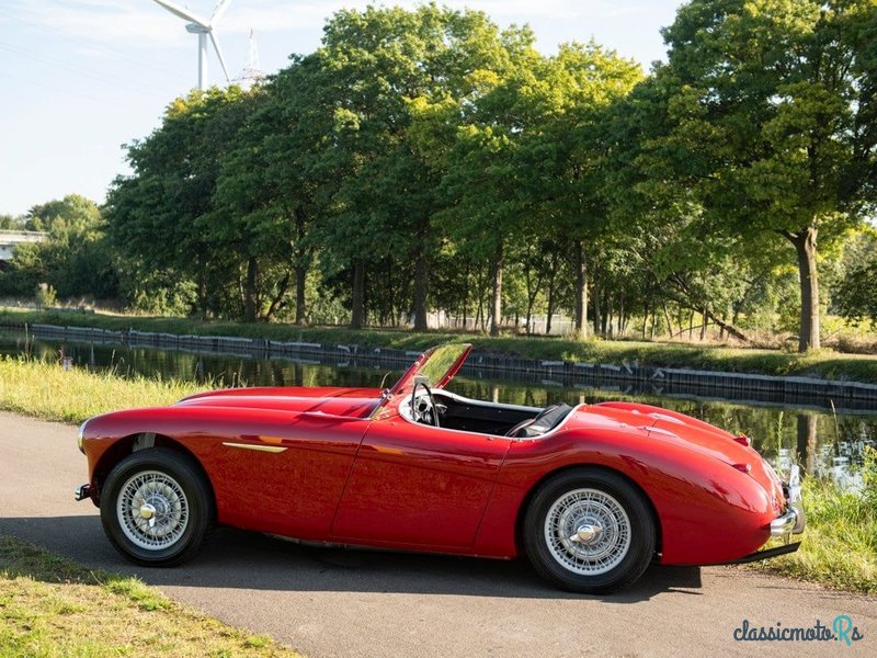 1955' Austin-Healey 100/4 photo #3